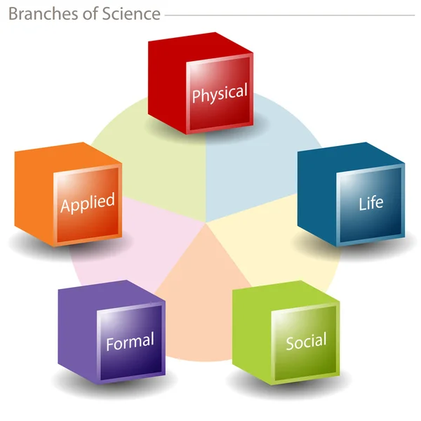 Branches of Science Chart — Stock Vector