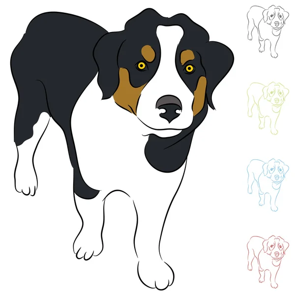 Border Collie cucciolo — Vettoriale Stock