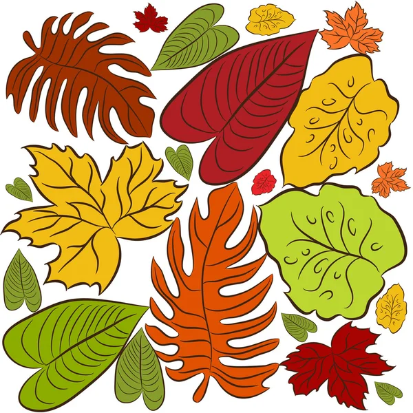 Cluster of Leaves — Stock Vector