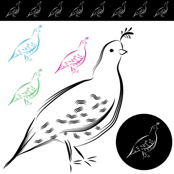 Quail Drawing — Stock Vector