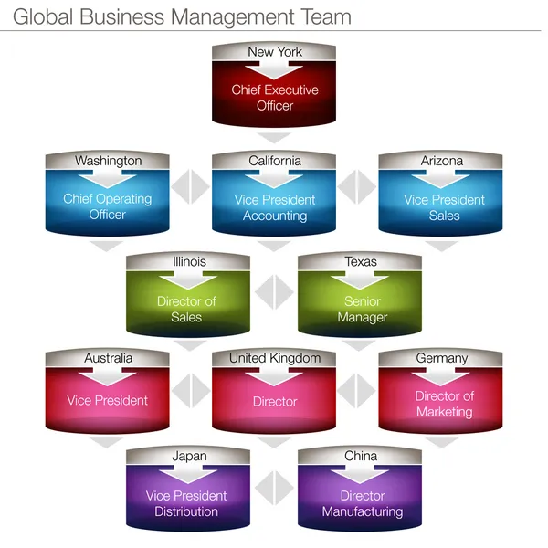 Global Business Management Chart — Stock Vector