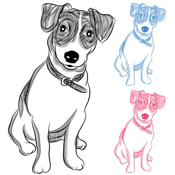 Irlandés Jack Russell Terrier Dog — Vector de stock