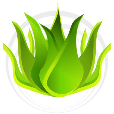 3D aloe vera bitki
