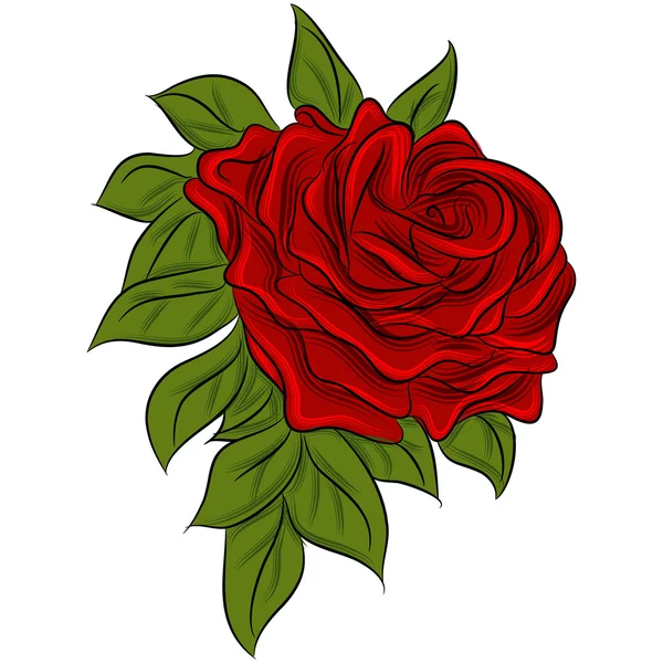 Rose Drawing — Stock Vector