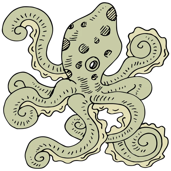 Octopus — Stock Vector