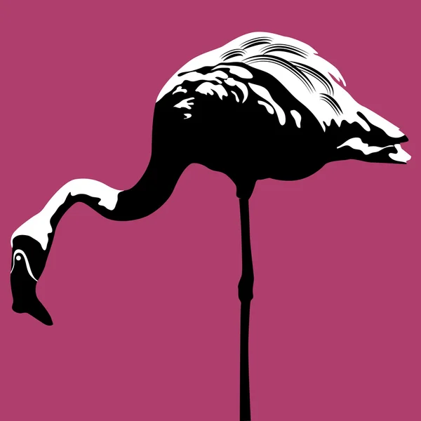 Flamingo — Vetor de Stock