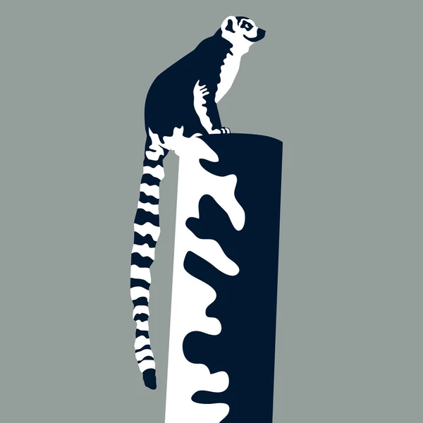 Lemur — Stok Vektör