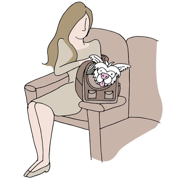 Mujer con portador de perro — Archivo Imágenes Vectoriales