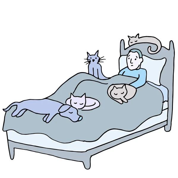 Кровать с домашним животным — стоковый вектор