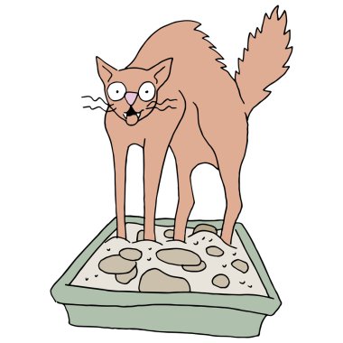 pis kedi çöp kutu