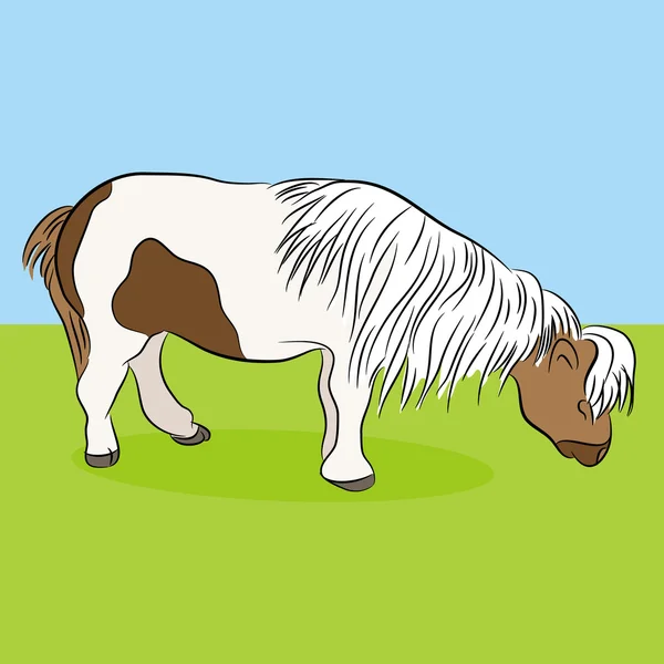Miniatuur paard — Stockvector
