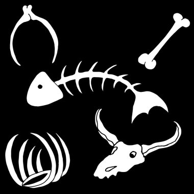 Variety of Bones vector Variety of Bones vector
