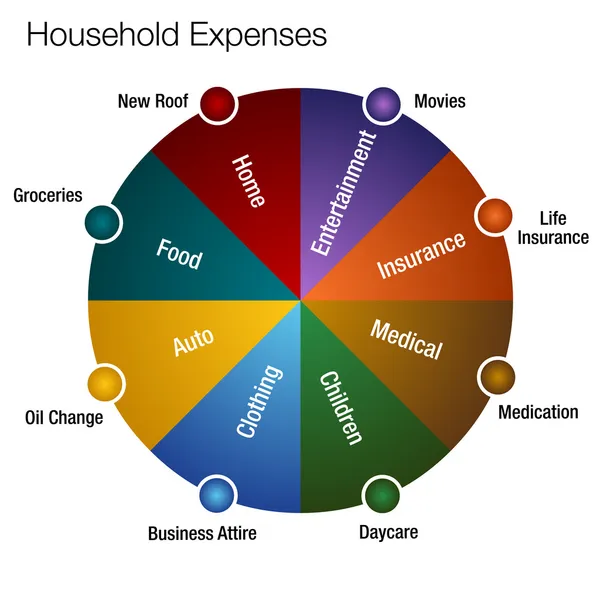 График семейных расходов — стоковый вектор