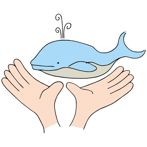Walvis bescherming — Stockvector