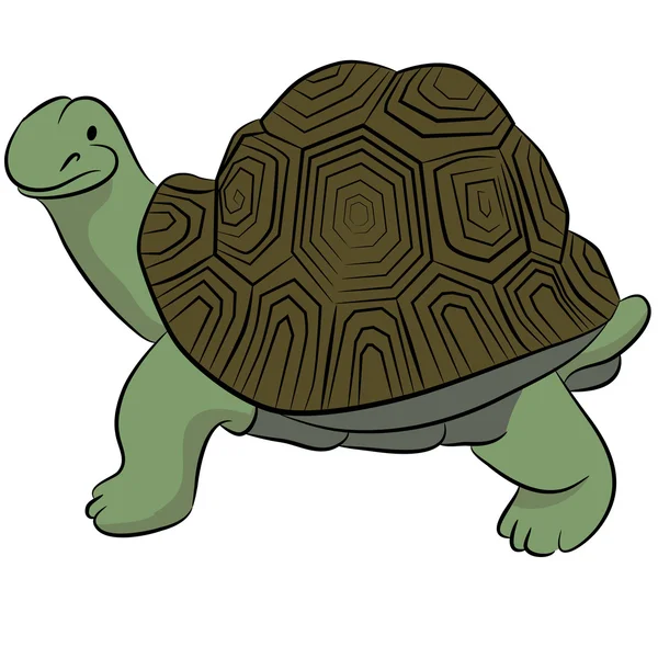 Gelukkig schildpad — Stockvector