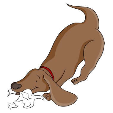 Köpek yemek kağıt