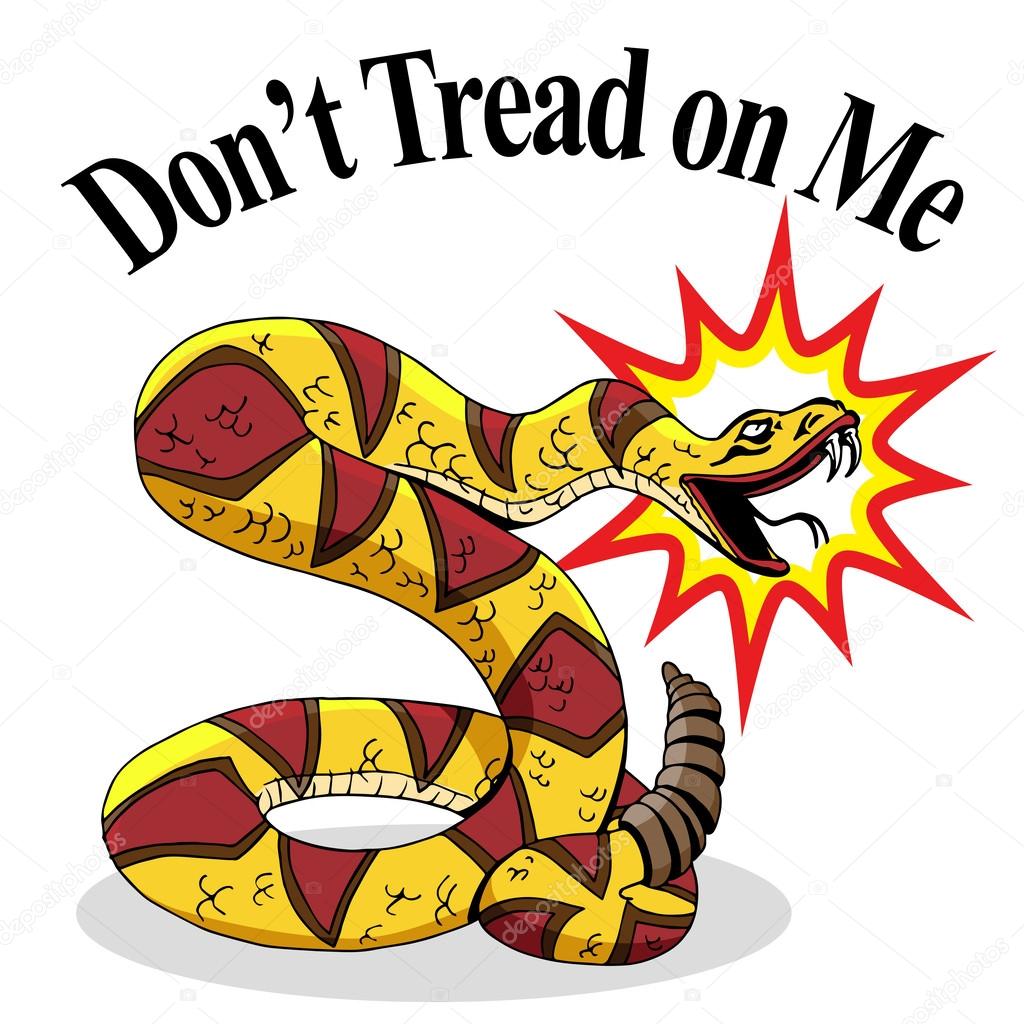 Rattlesnake Dont Tread On Me