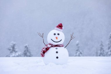 Noel Baba şapkalı kardan adam ve karlı arazide kırmızı süs. Güzel bir kış geçmişi var. Mutlu Noeller ve mutlu yıllar. Soğuk sisli bir sabah. Konum: Carpathian, Ukrayna, Avrupa.