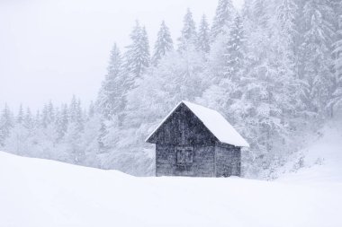 Çimlerin üzerinde karla kaplı eski ahşap ormancının evi. Kış günü manzara. Kar yığınları. Noel Harikalar Diyarı. Yüksek dağ. Karlı duvar kağıdı arka planı. Doğa manzarası.
