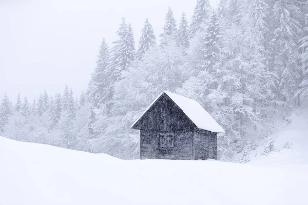 草地上被雪覆盖着的老式木制森林管理员的房子 冬天的风景 雪地漂移圣诞仙境高山 雪白的墙纸背景 自然景观 — 图库照片