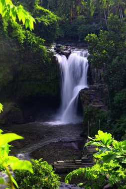 Ormandaki Tegenungan Şelalesi Ubud, Bali Adası Endonezya. Duvar kağıdı arka planı. Doğal manzara..