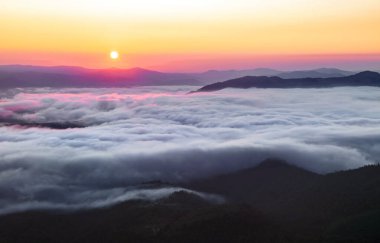 Yüksek dağlı manzara. Tarlalar ve çayırlar sabah sisi ve çiğ ile kaplıdır. Gün doğumu. Çam ağaçlarının ormanı. Sabah sisi. Turistik bir yer. Doğal manzara..