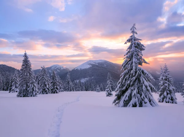 Winter Amazing Sunrise High Mountains Snow White Peaks Panoramic View — Stock Photo, Image