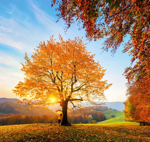 山、森、野原のある秋の田園風景。オレンジ色の葉で覆われた芝生の上に