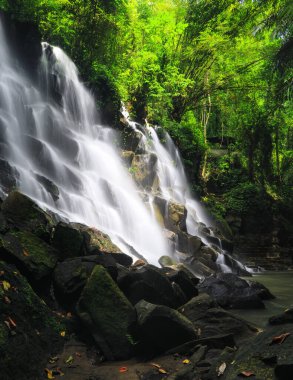 Kanto Lampo Şelalesi ormandaki Ubud, Bali Adası Endonezya. Duvar kağıdı arka planı. Doğal manzara..