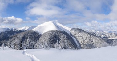 Doğa kış manzarası. Kar beyazı zirveli yüksek dağın panoramik manzarası. Çimlerde karla kaplı bir patika var. Karlı bir arka plan. Konum Karpatlar, Ukrayna, Avrupa