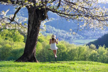 Romantik görünümlü bir kız salıncakta sallanıyor. Güzel, gür, çiçek açan kiraz ağacı çiçeklerle süslenir. Doğal ilkbahar manzarası.