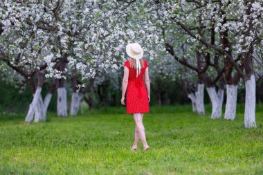 Çiçek ve yeşil yapraklarla kaplı bahar manzarası. Şapkalı, kırmızı elbiseli bir kız çimlerin üzerinde duruyor. Güzel, gür, çiçek açan elma ağacı çiçeklerle doludur. Doğal manzara..