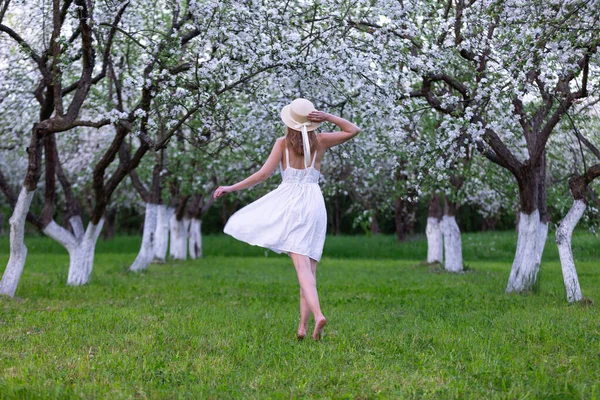 Bahçede, elma çiçeklerinin arasında şapkalı ve romantik beyaz elbiseli bir kız duruyor. Güzel, gür, çiçek açan elma ağacı çiçeklerle doludur. Doğal ilkbahar manzarası.