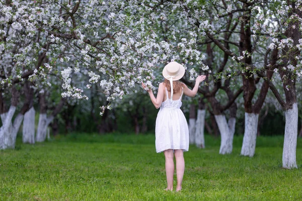 Bahçede, elma çiçeklerinin arasında şapkalı ve romantik beyaz elbiseli bir kız duruyor. Güzel, gür, çiçek açan elma ağacı çiçeklerle doludur. Doğal ilkbahar manzarası.