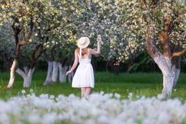 Romantik bir imaj. Bahçede, elma çiçeklerinin arasında şapkalı ve beyaz elbiseli bir kız duruyor. Güzel, gür, çiçek açan elma ağacı çiçeklerle doludur. Doğal ilkbahar manzarası.