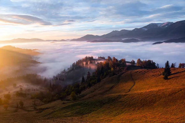 Autumn landscape. Sunrise on the foggy morning. Scenery with fruit tree, fields and forests covered with orange leaf. The lawn is enlightened by the sun rays. Touristic place Carpathians, Ukraine.