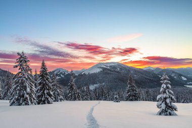 Kış. Gün doğumu. Karlı dağ zirvesiyle kaplı panoramik bir manzara. Güzel gökyüzü olan doğal manzara. Konum: Carpathian, Ukrayna, Avrupa.