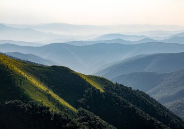 Bahar sabahı. Yüksek dağlar ve yeşil ormanlarla kaplı bir manzara. Panoramik manzara. Köyün manzarası. Yeşil çimenli çayır. Duvar kağıdı arka planı. Turistik bir yer Karpatya Parkı.