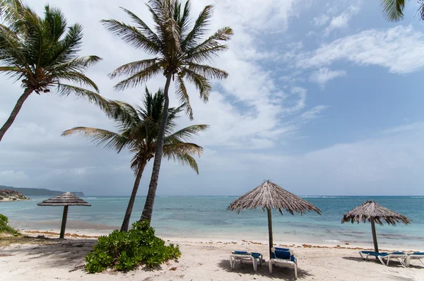 En solig karibisk strand med solstolar och parasoller — Stockfoto