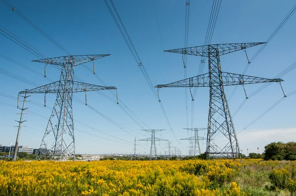 Elecrical Pylon — Stock Photo, Image