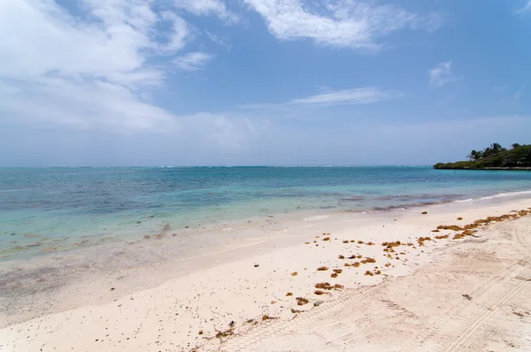 En solig karibisk strand — Stockfoto