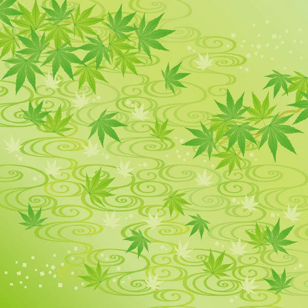 Green background of Japanese maple leaves Vector Graphics