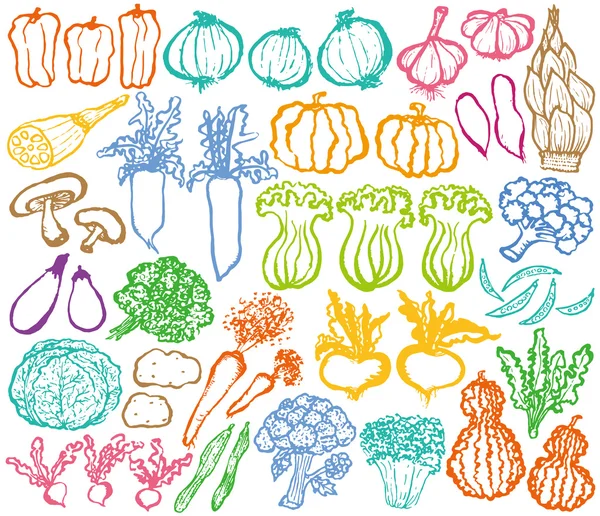 Légumes dessinés à la main . — Image vectorielle