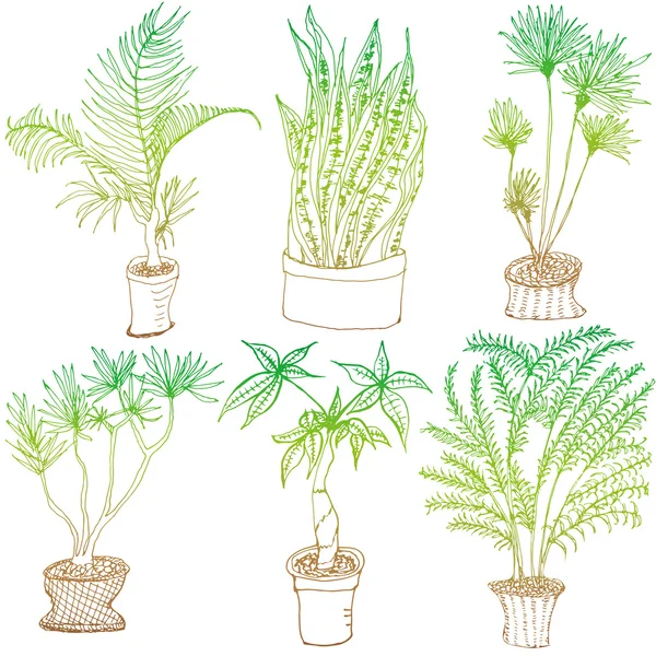 Foliage plant — Stock Vector