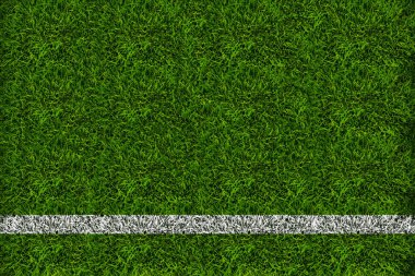 Futbol sahasının çimenleri.