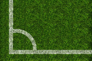 Futbol sahasının çimenleri.