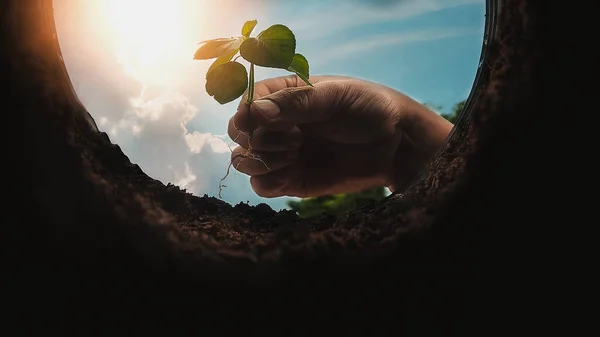 Earth Planet World Concept Planting Trees — Stock Photo, Image