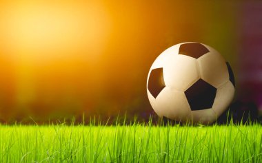 Yeşil çimlerde bir futbol topu