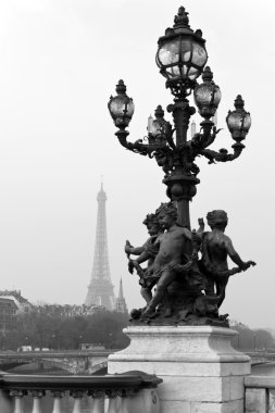 Paris, Fransa alexandre III Köprüsü'nde sokak fener.