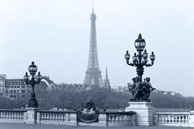 Paris, Fransa alexandre III Köprüsü'nde sokak fener.